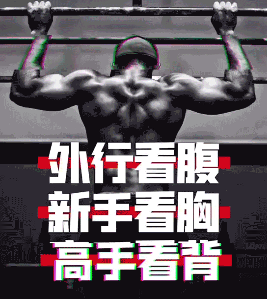 背部肌肉锻炼方案，健身器材厂家为您安排得明明白白