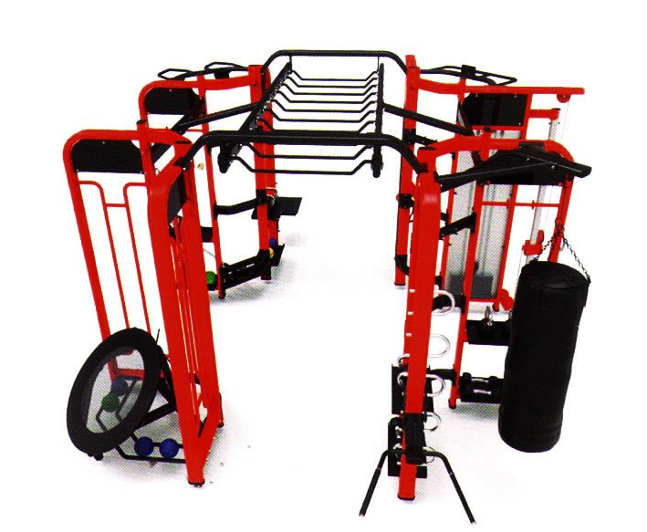 Commercial gym fitness syner...