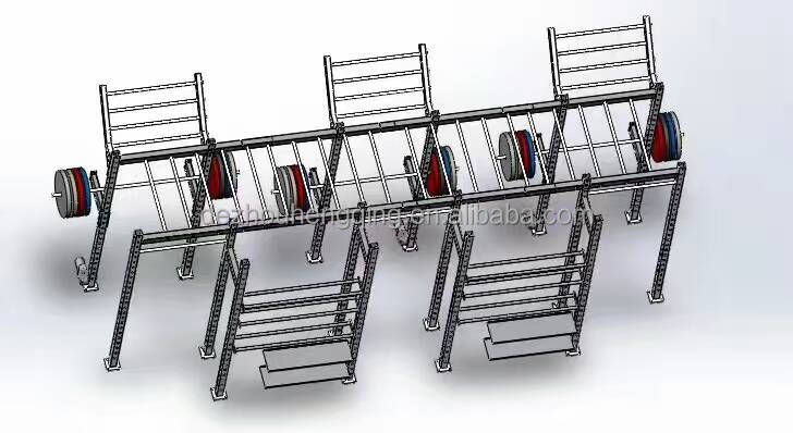 Multi Functional Gym Fitness Wall Mounted Single Free Standing Rigs CF Racks Equipment