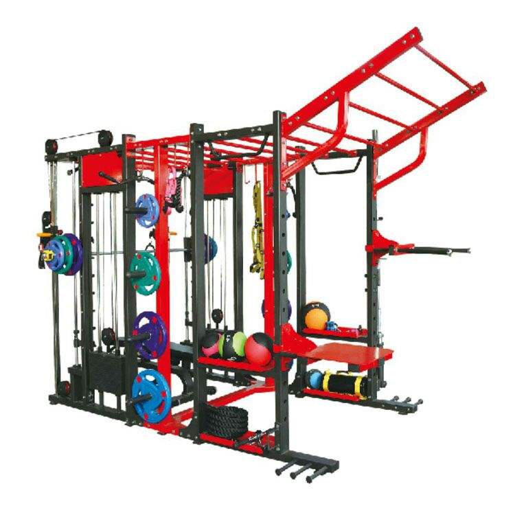 Commercial Bodybuilding Gym ...