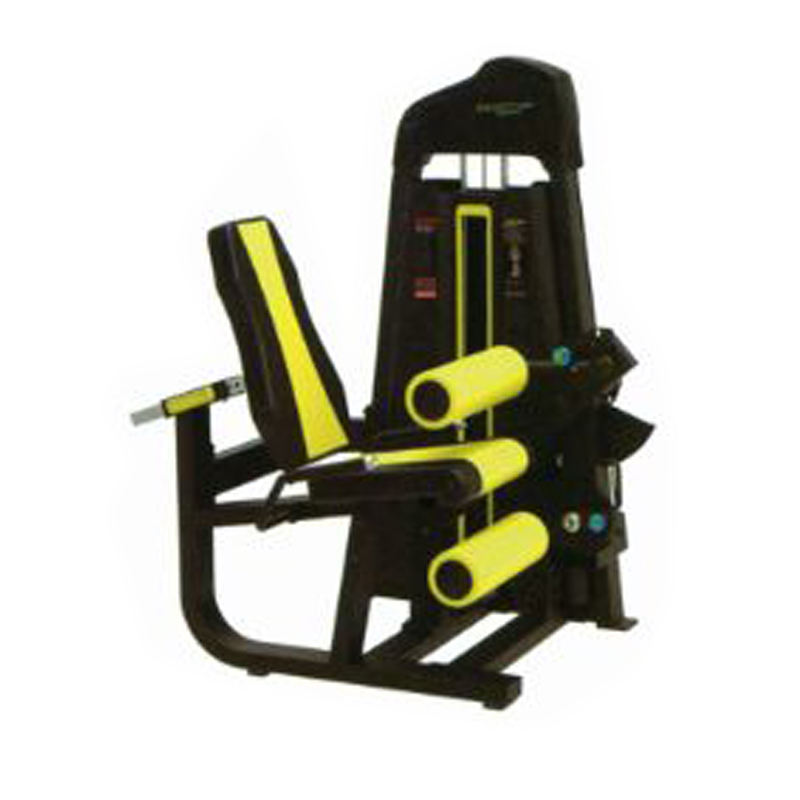 Seated Leg Curl/Extension Fo...