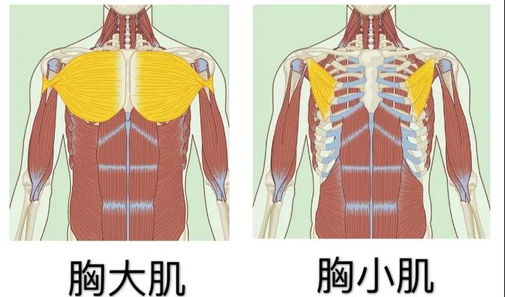 训练器材